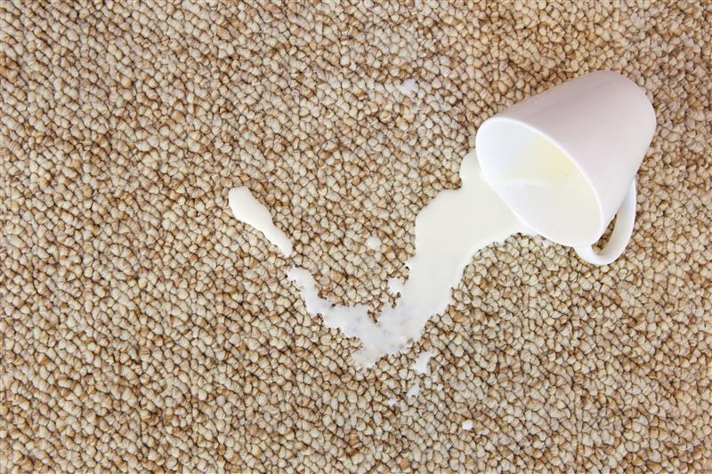 How to Remove Milk Stains and Odor from Carpet, Upholstery, and Car Seats